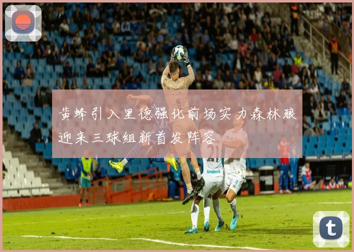 黄蜂引入里德强化前场实力森林狼迎来三球组新首发阵容