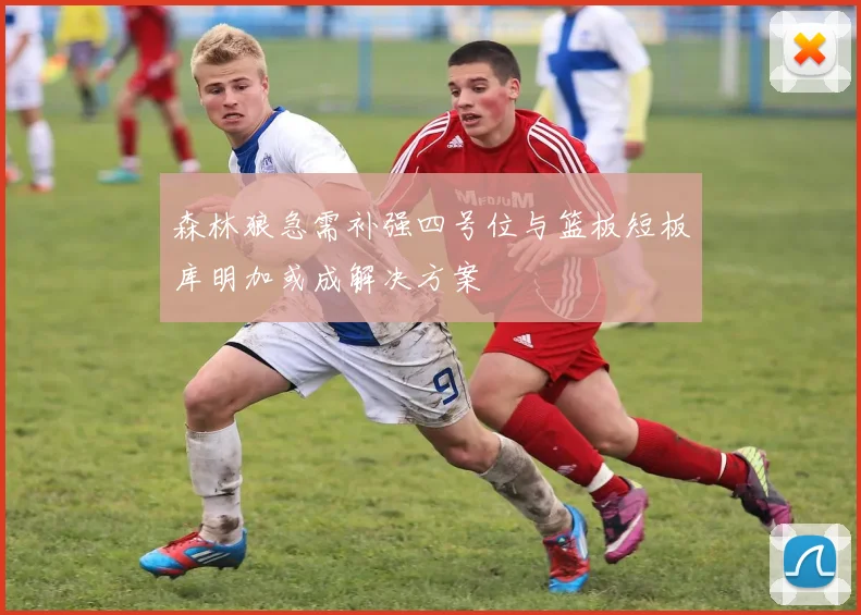 森林狼急需补强四号位与篮板短板库明加或成解决方案